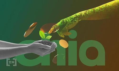 租用恒訊科技的chia服務(wù)器有何優(yōu)勢？.jpg