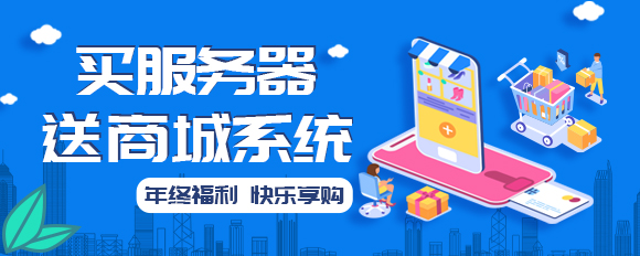 買(mǎi)服務(wù)器送商城系統