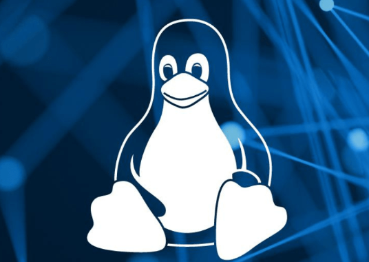 如何檢查遠程Linux系統上的開(kāi)放端口？.png