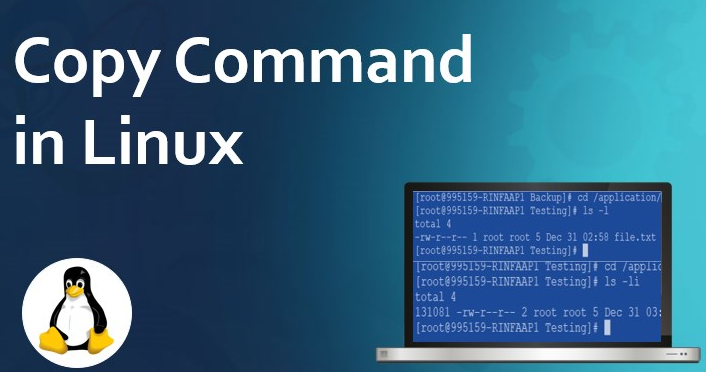 linux復制文件cp命令怎么使用？.png