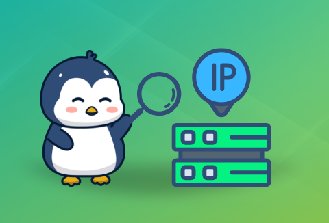 ubuntu ip怎么配置？.png