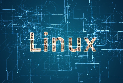 在Linux終端上如何實(shí)現文本流的動(dòng)態(tài)顯示？.png