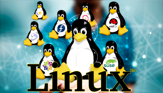 linux分區滿(mǎn)了怎么辦？.png