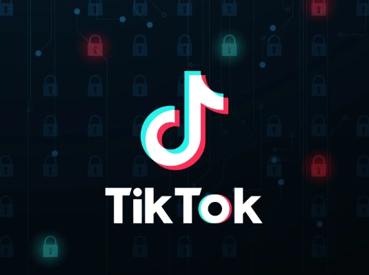 65e95e049e184.png tiktok專線網(wǎng)絡(luò)搭建的詳細(xì)流程.png